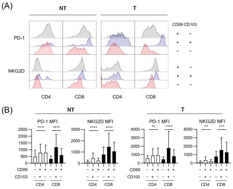 https://cdn.ncbi.nlm.nih.gov/pmc/blobs/9c9a/12072143/18a244320a65/cancers-17-01548-g004.jpg