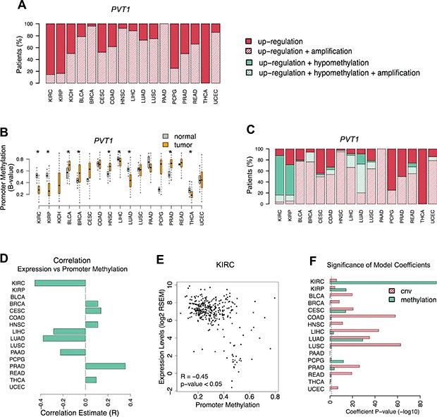 https://cdn.ncbi.nlm.nih.gov/pmc/blobs/9ca1/5216921/be8c207608c6/oncotarget-07-47033-g003.jpg