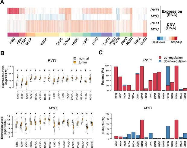 https://cdn.ncbi.nlm.nih.gov/pmc/blobs/9ca1/5216921/e41a4dbbc5be/oncotarget-07-47033-g001.jpg