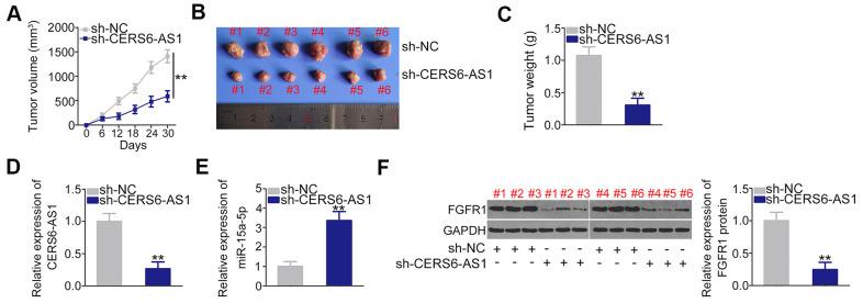 https://cdn.ncbi.nlm.nih.gov/pmc/blobs/9cb4/7950275/a08aa97b12c3/aging-13-202540-g008.jpg