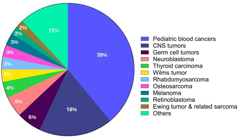 https://cdn.ncbi.nlm.nih.gov/pmc/blobs/9cb7/11171256/f752980c5eac/cancers-16-02017-g001.jpg