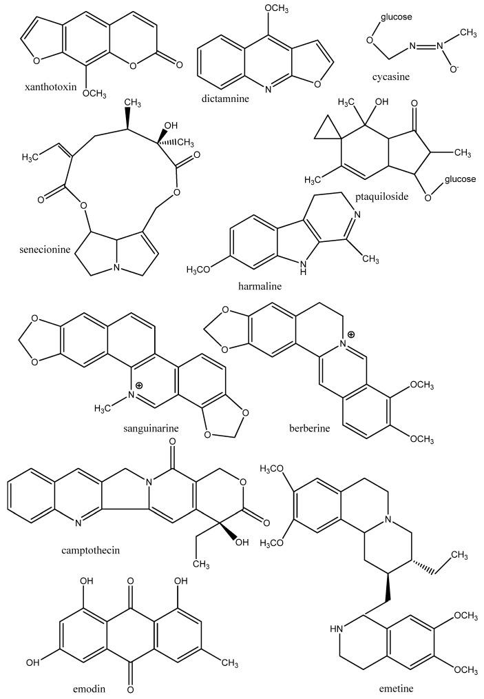 https://cdn.ncbi.nlm.nih.gov/pmc/blobs/9cca/6268567/df22fc64d1c6/molecules-17-12771-g001.jpg