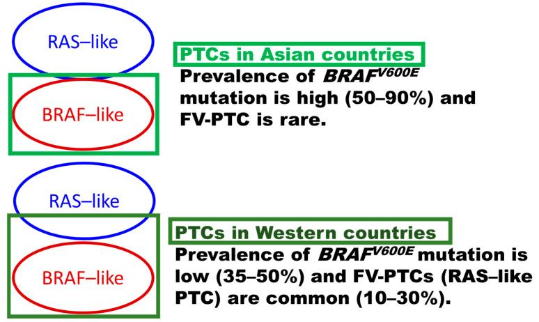 https://cdn.ncbi.nlm.nih.gov/pmc/blobs/9cd2/8834283/b82adfcc2778/cancers-14-00812-g002.jpg