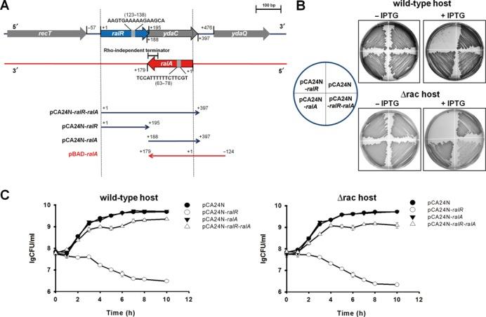 https://cdn.ncbi.nlm.nih.gov/pmc/blobs/9cd9/4041452/7b172885f9da/gku279fig1.jpg