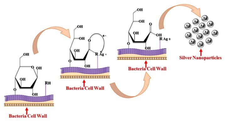https://cdn.ncbi.nlm.nih.gov/pmc/blobs/9d15/7226404/652b9042816d/cancers-12-00855-g003.jpg