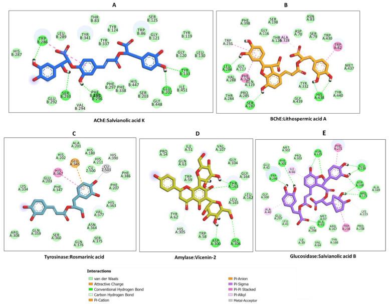 https://cdn.ncbi.nlm.nih.gov/pmc/blobs/9d1d/9784812/399465b765a7/molecules-27-09029-g002.jpg