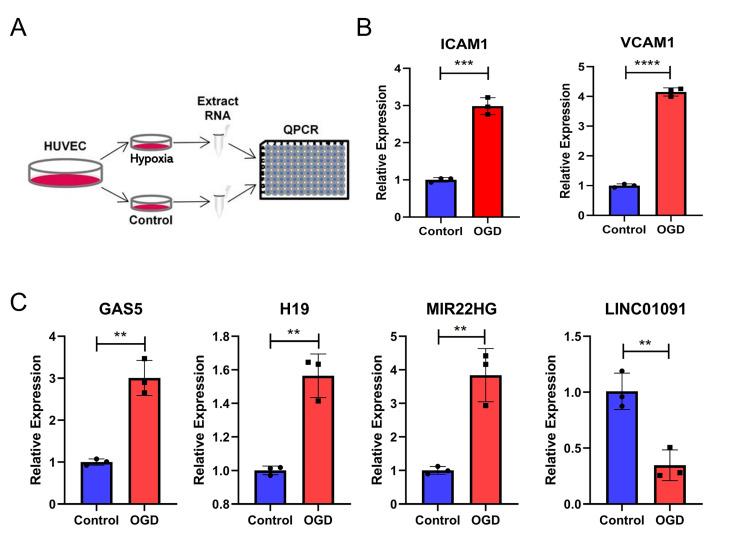 https://cdn.ncbi.nlm.nih.gov/pmc/blobs/9d1f/11267359/b348fa87d09e/2153-8174-23-10-341-g8.jpg
