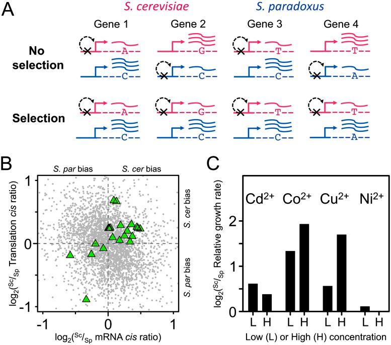https://cdn.ncbi.nlm.nih.gov/pmc/blobs/9d2f/3941106/3887b8fe1fe8/411fig3.jpg