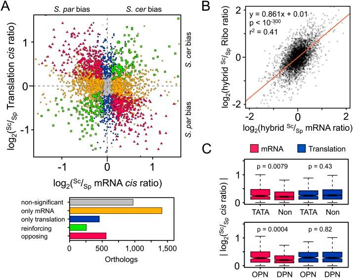 https://cdn.ncbi.nlm.nih.gov/pmc/blobs/9d2f/3941106/d8b51138226d/411fig2.jpg