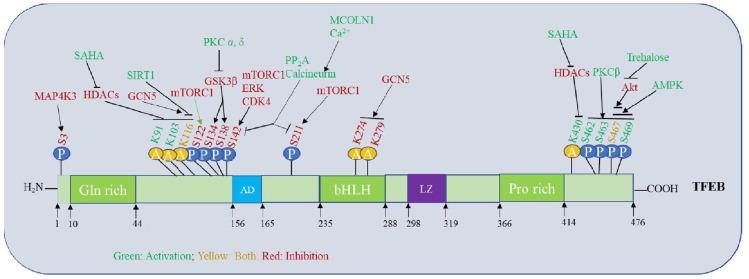 https://cdn.ncbi.nlm.nih.gov/pmc/blobs/9d35/9986912/f8f966dc867c/10.1177_20503121231157209-fig2.jpg