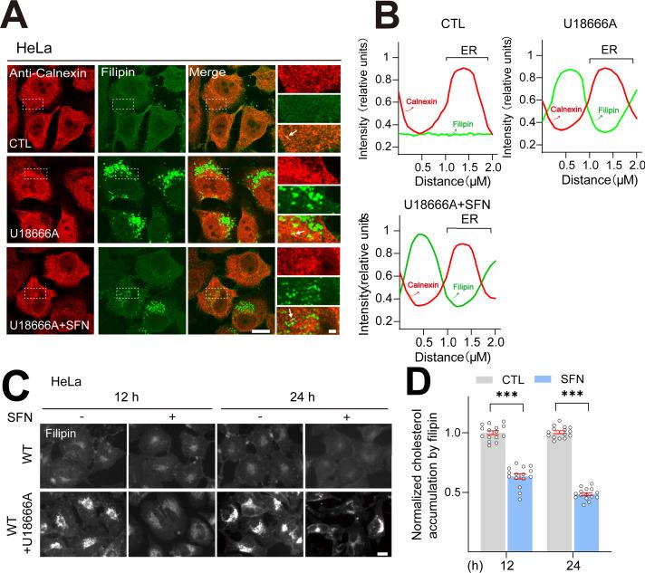 https://cdn.ncbi.nlm.nih.gov/pmc/blobs/9d3c/11970905/3b1e14a61115/elife-103137-fig1-figsupp2.jpg