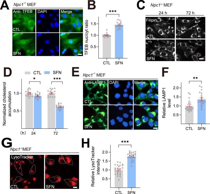 https://cdn.ncbi.nlm.nih.gov/pmc/blobs/9d3c/11970905/af49b924137e/elife-103137-fig5.jpg