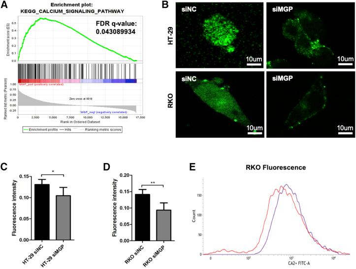 https://cdn.ncbi.nlm.nih.gov/pmc/blobs/9d48/7210384/cde77405ea4f/gr3.jpg