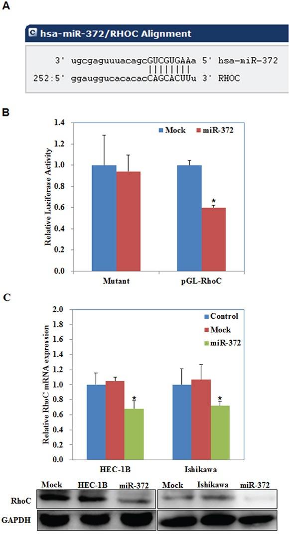 https://cdn.ncbi.nlm.nih.gov/pmc/blobs/9d70/4872740/1a6f2d28ca95/oncotarget-07-6649-g007.jpg