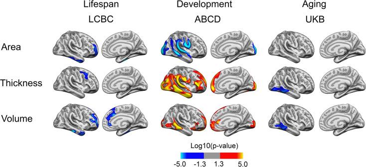 https://cdn.ncbi.nlm.nih.gov/pmc/blobs/9d7d/11008813/6387d9b05934/elife-86812-fig2.jpg