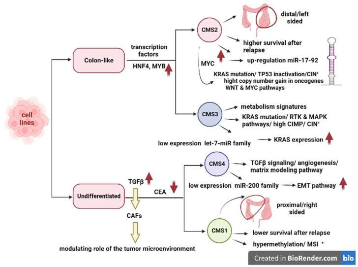 https://cdn.ncbi.nlm.nih.gov/pmc/blobs/9d96/10216373/fa29b177c46e/cancers-15-02746-g002.jpg