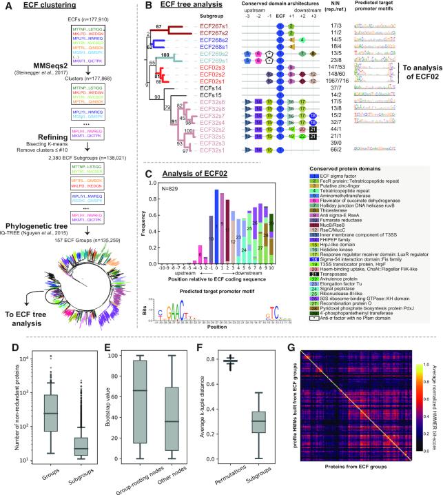 https://cdn.ncbi.nlm.nih.gov/pmc/blobs/9d97/7826278/1d256e6301e9/gkaa1229fig3.jpg