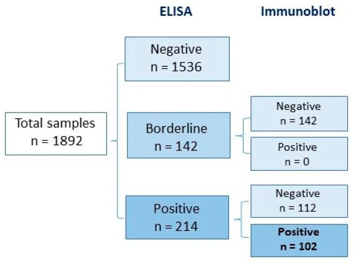 https://cdn.ncbi.nlm.nih.gov/pmc/blobs/9d9c/11435333/1ad25f8eb09f/pathogens-13-00754-g001.jpg