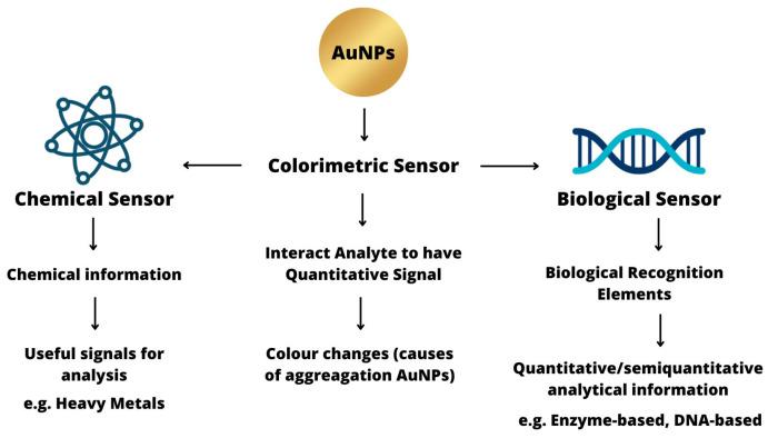 https://cdn.ncbi.nlm.nih.gov/pmc/blobs/9db7/10575141/e36dbfb15e5d/sensors-23-08172-g001.jpg