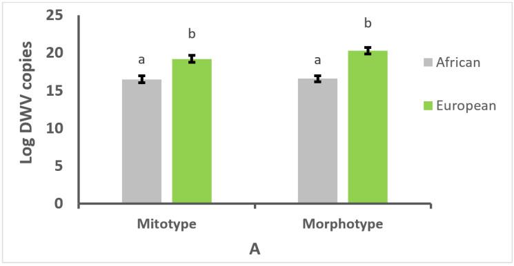 https://cdn.ncbi.nlm.nih.gov/pmc/blobs/9dbd/9320602/89379f0acbd2/vetsci-09-00358-g002a.jpg