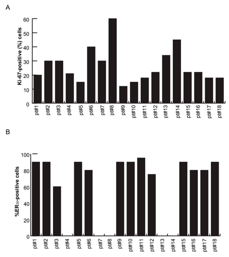 https://cdn.ncbi.nlm.nih.gov/pmc/blobs/9dbe/7867078/135b2a15d2f2/cancers-13-00543-g007a.jpg