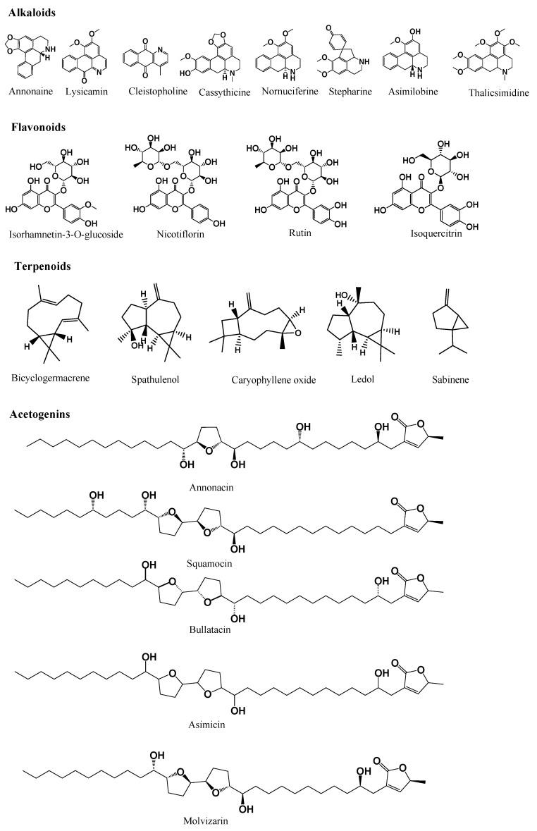 https://cdn.ncbi.nlm.nih.gov/pmc/blobs/9dc5/9182277/4111ebc6c827/molecules-27-03462-g001.jpg