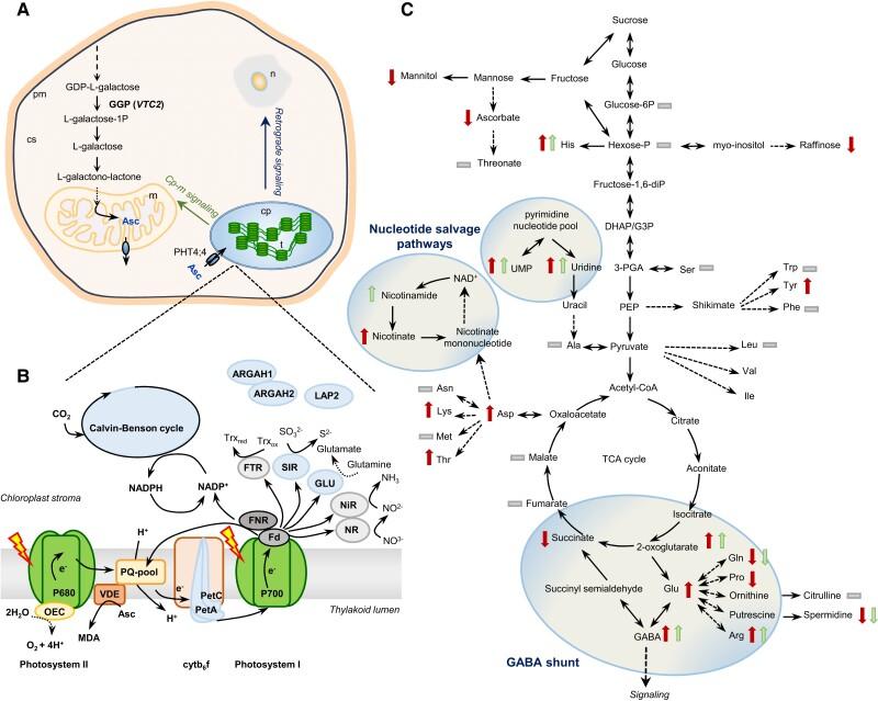 https://cdn.ncbi.nlm.nih.gov/pmc/blobs/9dd7/11444284/553cd3210cdf/kiae409f7.jpg