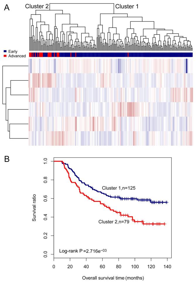 https://cdn.ncbi.nlm.nih.gov/pmc/blobs/9dd7/5843393/2f2caeca6727/IJO-52-04-1178-g05.jpg