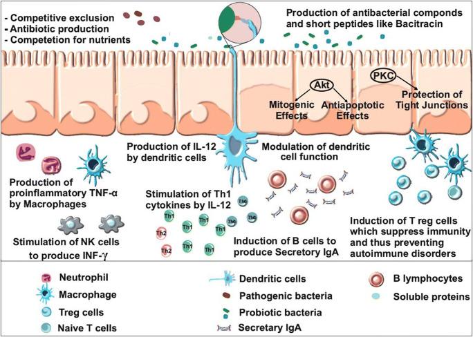 https://cdn.ncbi.nlm.nih.gov/pmc/blobs/9e09/8749913/3ae149b24b2d/253_2021_11646_Fig2_HTML.jpg