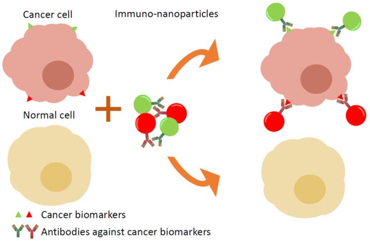 https://cdn.ncbi.nlm.nih.gov/pmc/blobs/9e0d/7729484/a4823642da48/sensors-20-06890-g004.jpg