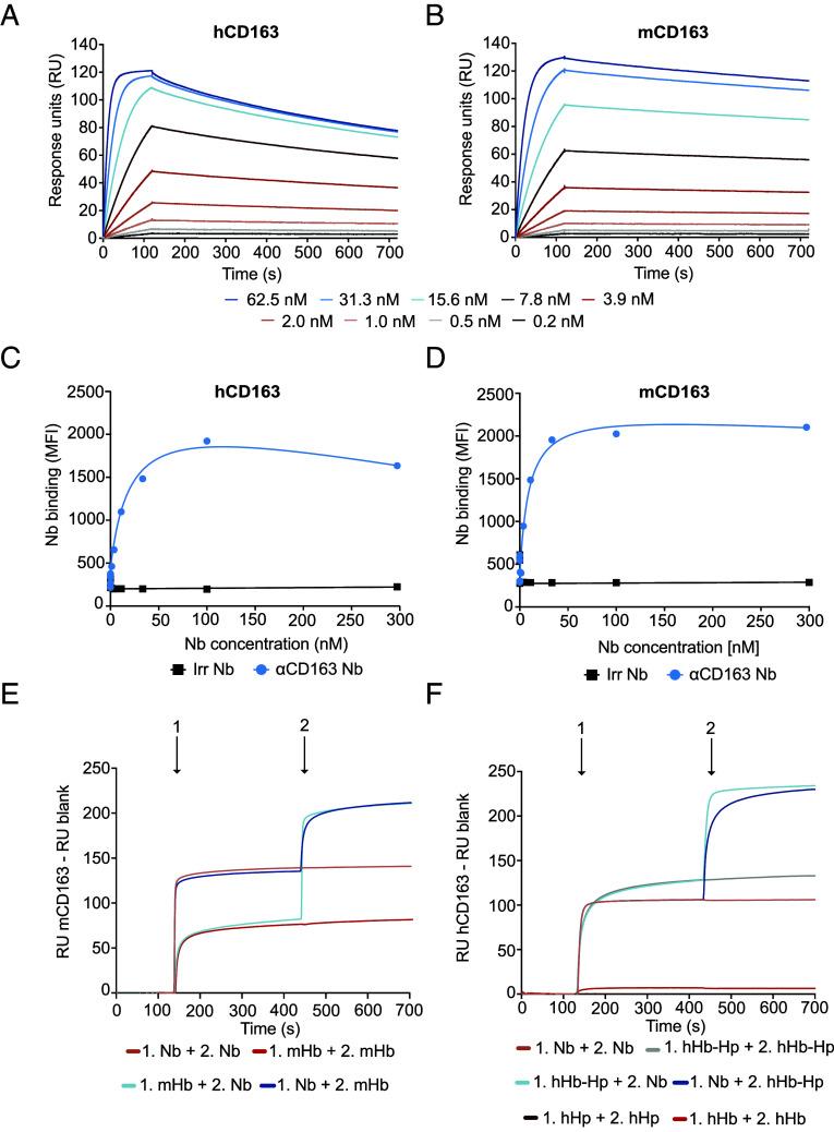 https://cdn.ncbi.nlm.nih.gov/pmc/blobs/9e1f/11670109/da9551718100/pnas.2409668121fig01.jpg