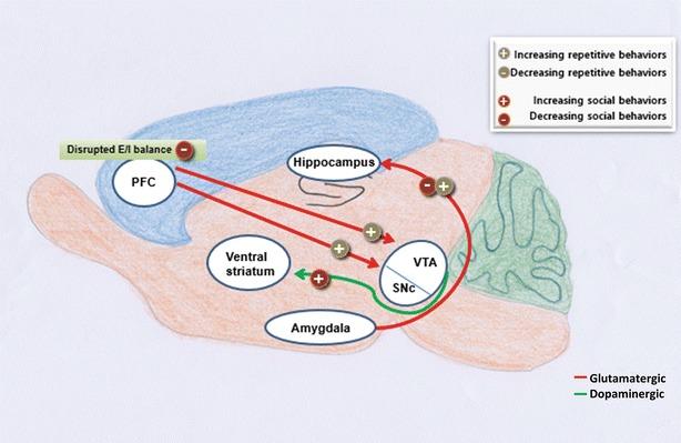 https://cdn.ncbi.nlm.nih.gov/pmc/blobs/9e25/4719705/4833d2067ccb/12993_2016_87_Fig2_HTML.jpg