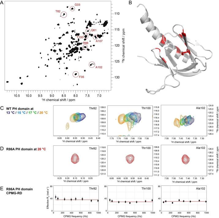 https://cdn.ncbi.nlm.nih.gov/pmc/blobs/9e28/9417420/96fc5dfe0f46/elife-80148-fig3-figsupp3.jpg