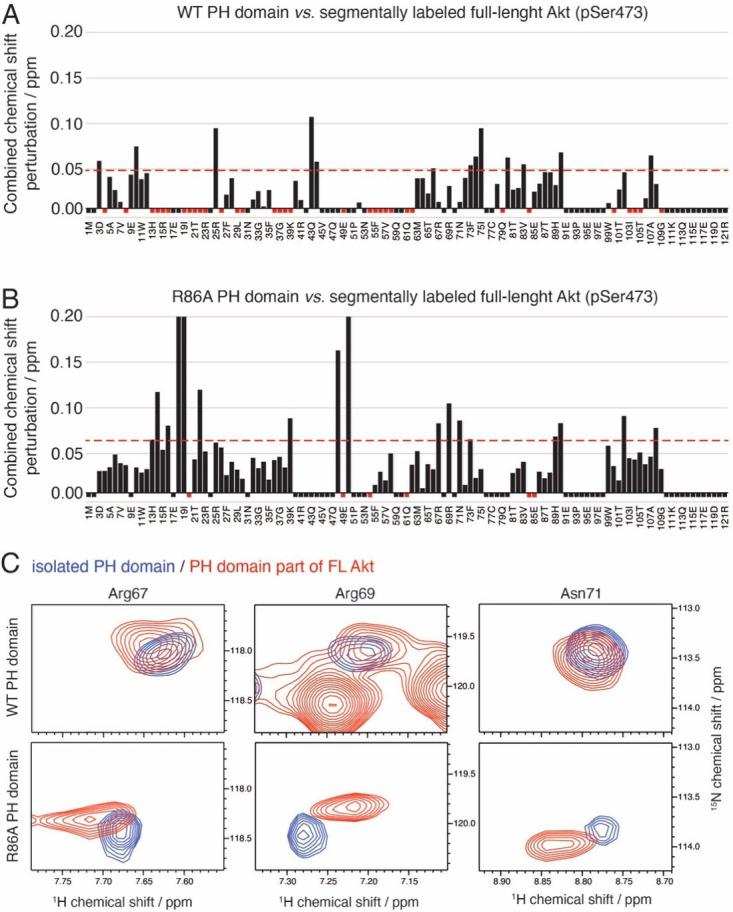 https://cdn.ncbi.nlm.nih.gov/pmc/blobs/9e28/9417420/ad313354e4e1/elife-80148-fig3-figsupp5.jpg