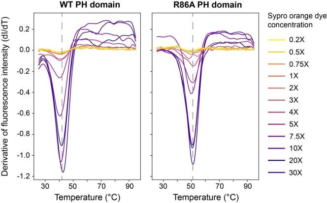 https://cdn.ncbi.nlm.nih.gov/pmc/blobs/9e28/9417420/c7f8e977d11e/elife-80148-fig3-figsupp1.jpg