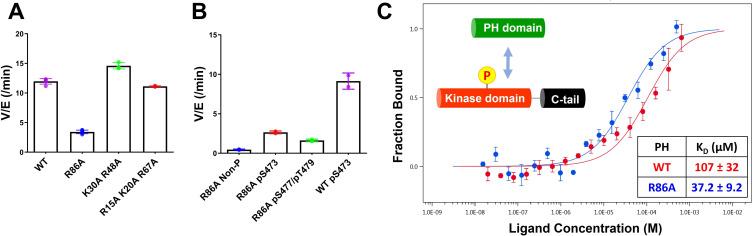 https://cdn.ncbi.nlm.nih.gov/pmc/blobs/9e28/9417420/ce8788f27ed4/elife-80148-fig2.jpg