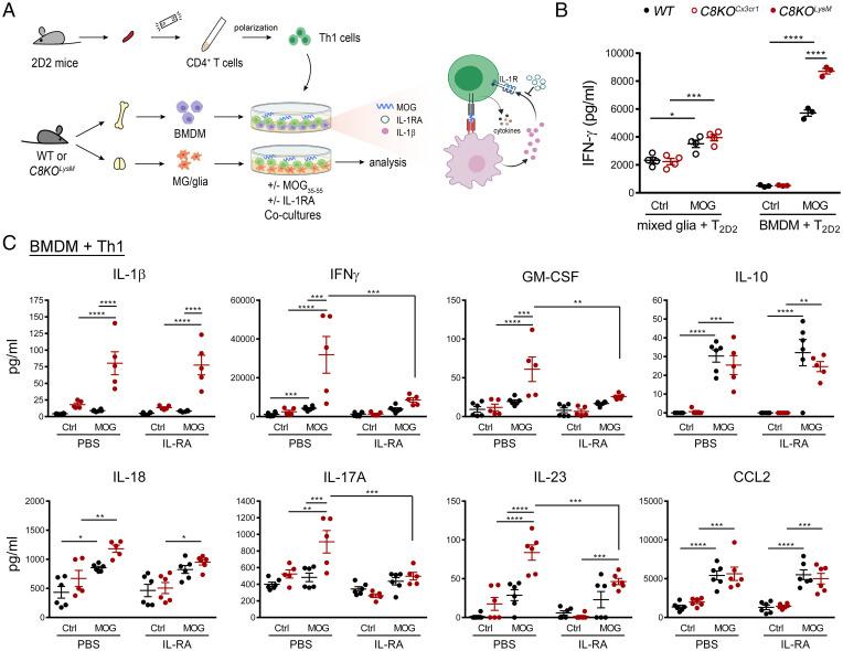 https://cdn.ncbi.nlm.nih.gov/pmc/blobs/9e2e/9214530/7549a8341244/pnas.2117636119fig05.jpg