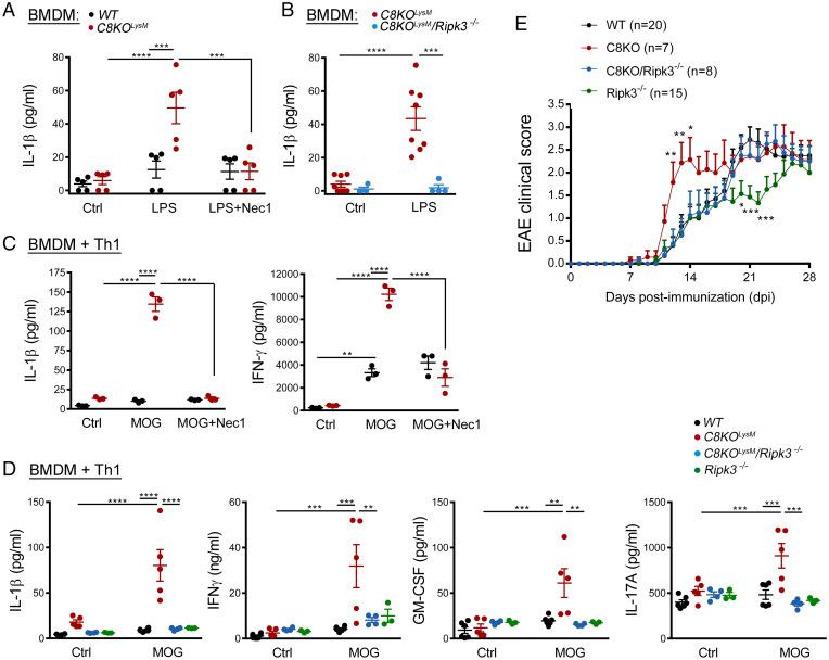 https://cdn.ncbi.nlm.nih.gov/pmc/blobs/9e2e/9214530/cbf3ec850d29/pnas.2117636119fig06.jpg