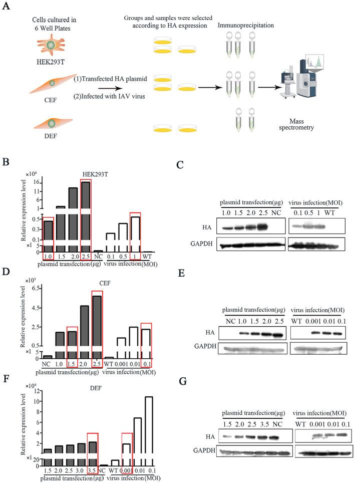 https://cdn.ncbi.nlm.nih.gov/pmc/blobs/9e31/12195859/916a70a0a75d/pathogens-14-00535-g001.jpg