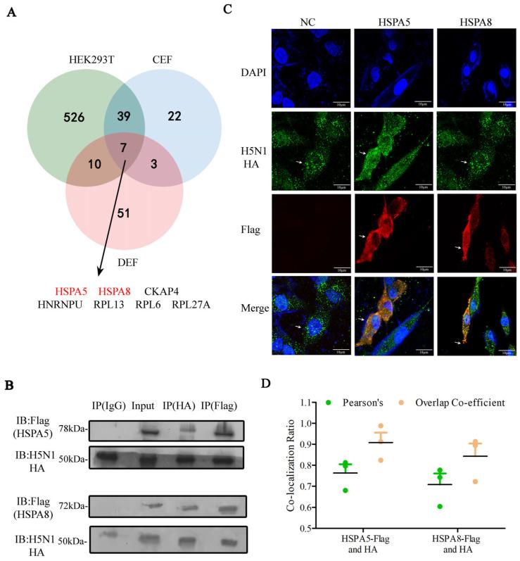 https://cdn.ncbi.nlm.nih.gov/pmc/blobs/9e31/12195859/f73cfe054beb/pathogens-14-00535-g004.jpg