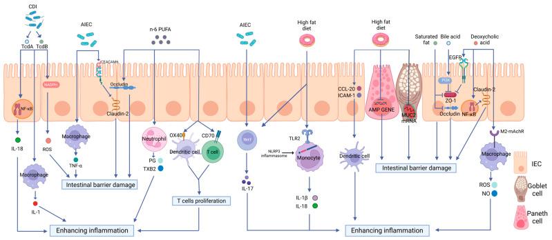 https://cdn.ncbi.nlm.nih.gov/pmc/blobs/9e57/10296751/f3162146f40a/biomolecules-13-00905-g002.jpg