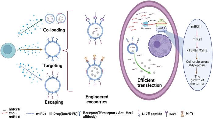 https://cdn.ncbi.nlm.nih.gov/pmc/blobs/9e73/10562639/dec8b6b3efe3/fbioe-11-1254356-g002.jpg