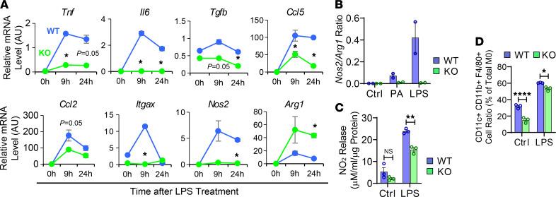 https://cdn.ncbi.nlm.nih.gov/pmc/blobs/9e78/8564915/ccaacabbcb6d/jciinsight-6-147033-g033.jpg