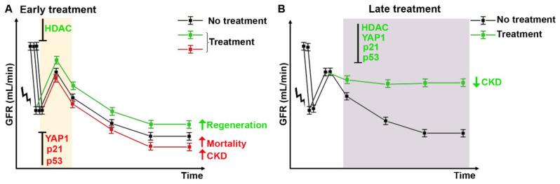 https://cdn.ncbi.nlm.nih.gov/pmc/blobs/9e82/8537394/70525f42139c/ijms-22-11093-g003.jpg