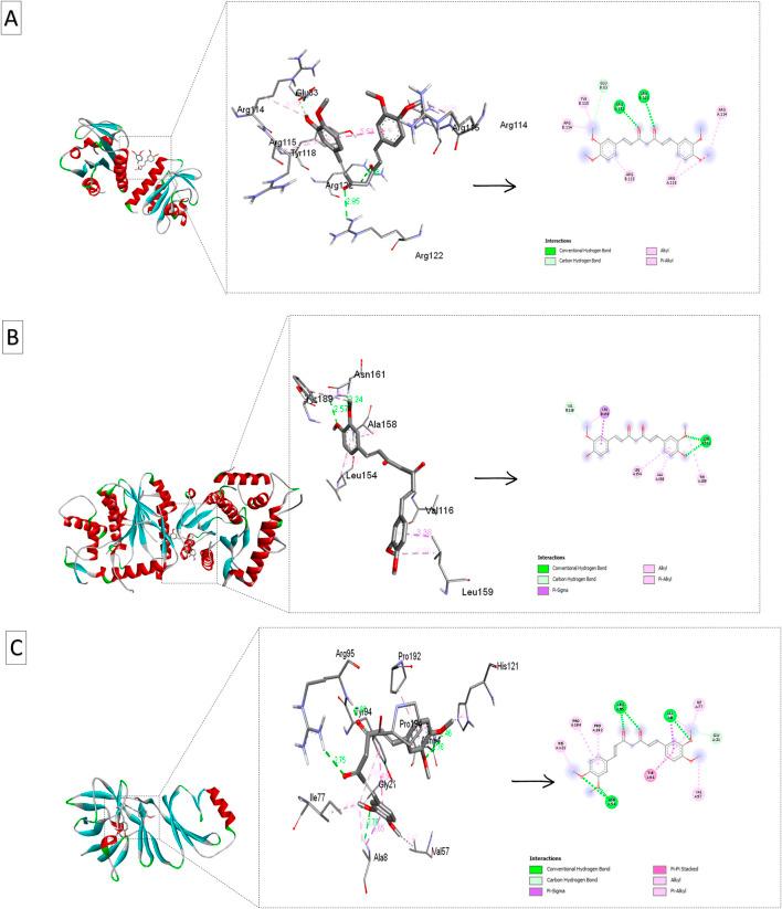 https://cdn.ncbi.nlm.nih.gov/pmc/blobs/9e88/11780592/905ed1b27cfe/fchem-12-1509913-g006.jpg