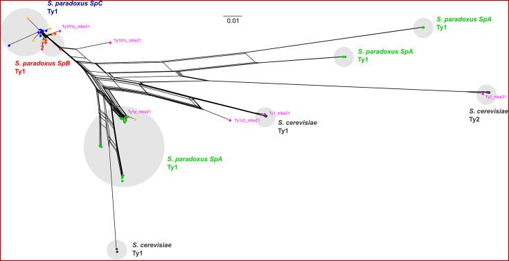https://cdn.ncbi.nlm.nih.gov/pmc/blobs/9e8a/10911583/3327bb8978d9/elife-89277-fig4-figsupp3.jpg