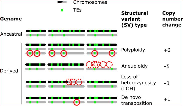 https://cdn.ncbi.nlm.nih.gov/pmc/blobs/9e8a/10911583/5124f07c15e7/elife-89277-fig1.jpg