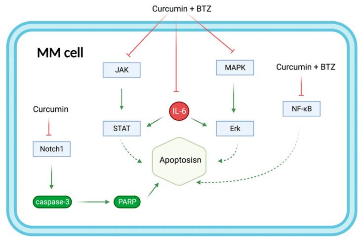 https://cdn.ncbi.nlm.nih.gov/pmc/blobs/9e92/9687375/ad9299b7c16d/biomolecules-12-01647-g007.jpg