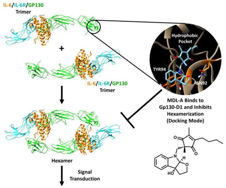 https://cdn.ncbi.nlm.nih.gov/pmc/blobs/9e92/9861960/e534afad3d1a/molecules-28-00677-g002.jpg