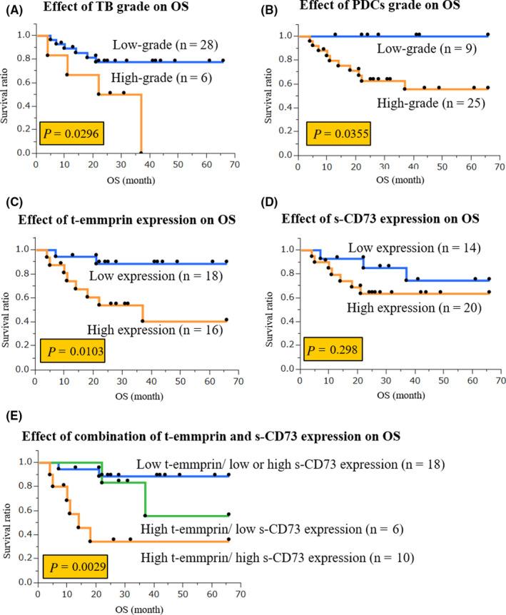 https://cdn.ncbi.nlm.nih.gov/pmc/blobs/9e95/7419056/98a9838f7df4/CAS-111-3045-g002.jpg